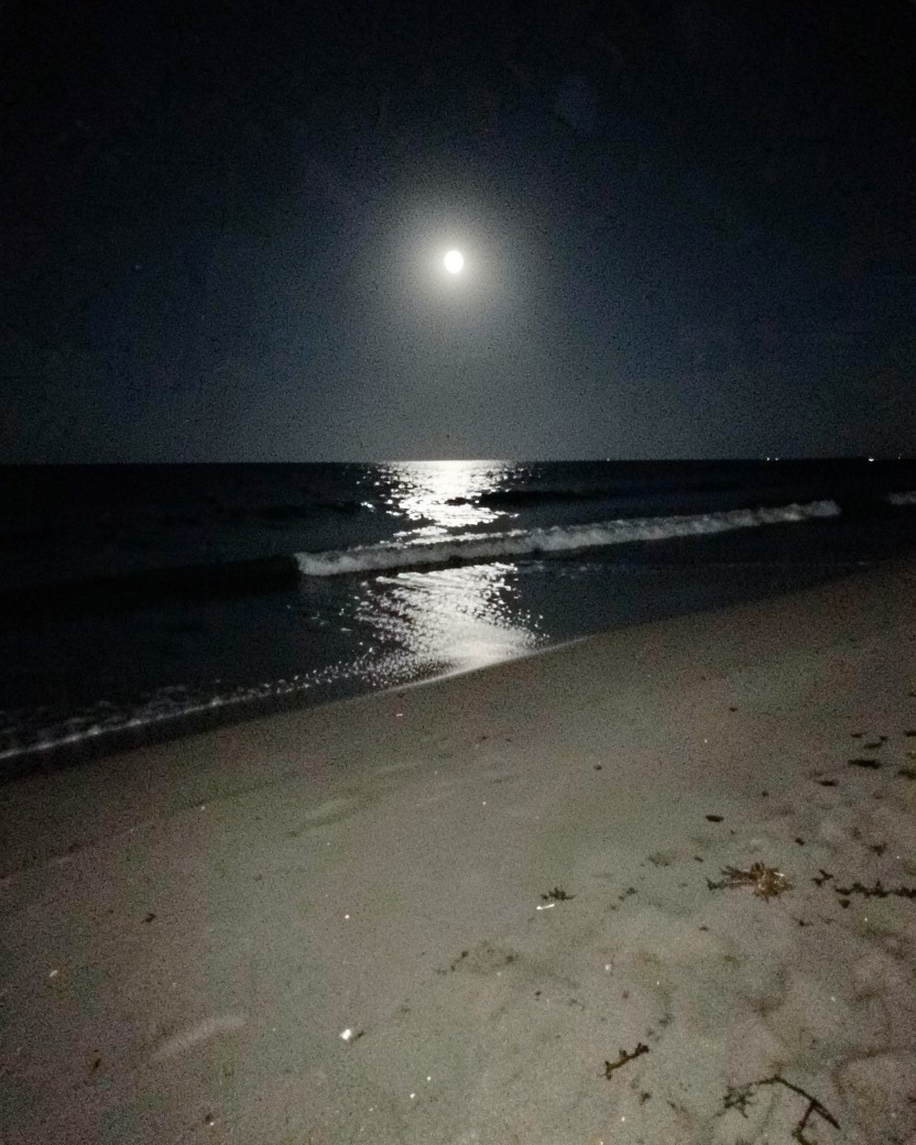 夜の九十九里の浜。満月の光が海に一本の道をつくっている